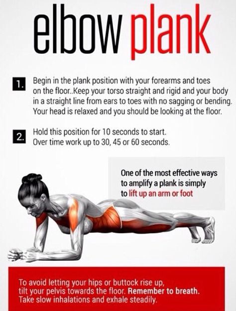 Elbow plank Elbow Plank, Plank Exercise, Yoga Abs, Yoga Ideas, Core Exercise, Fitness Pilates, Training Workouts, Exercise Program, Plank Workout