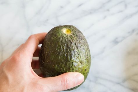 How Do You Know When An Avacado Is Ready, Mexican Avocado, Avocado Recipes Easy, How To Ripen Avocados, Freeze Avocado, Avocado Chocolate Pudding, Avocado Plant, Grow Avocado, Baked Avocado