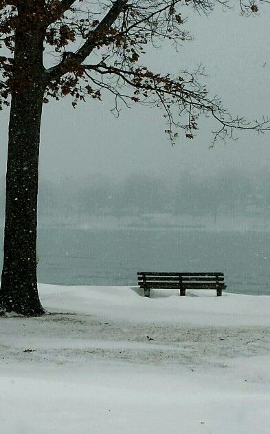 Winter/ Elizabeth park, Trenton Michigan. Downriver Michigan, Flat Rock, Winter Beauty, Pure Michigan, Skate Park, Past Life, Small Towns, Michigan, Favorite Places