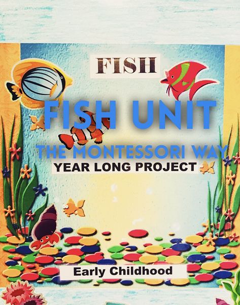 Presenting Fish Unit Study The Montessori Way Montessori, Zoology, Fish Unit Study, Montessori Zoology, Montessori House, Montessori Method, Lifelong Learning, My Class, Unit Study