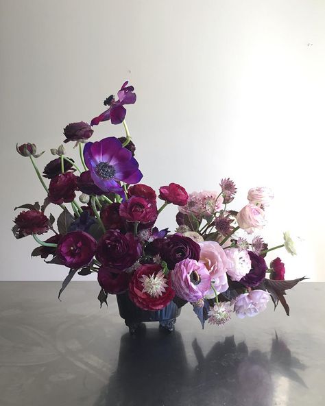 Like the gradient idea. Would like something less pink. Love the dark purple anemone and ranunculus. Description from op: Natural, garden style, purple ombre floral arrangement centerpiece of wine anemones, purple ranunculus, astrantia, and weigelia foliage   #wildgreenyonder #flowers #dsfloral #dscolor #purple #purpleflowers #centerpiece #gardenstyle #fineartflowers #virginiaflorist #virginiaflowers #vaflorist #vaflowers #vafloraldesigner #ranunculus #astrantia #anemone #gradients #ombrecolor Purple Wedding Florals, Ranunculus Centerpiece, Purple Ranunculus, Ranunculus Arrangement, Dark Purple Wedding, Ombre Flowers, Purple Flower Arrangements, Purple Centerpieces, Purple Wedding Inspiration