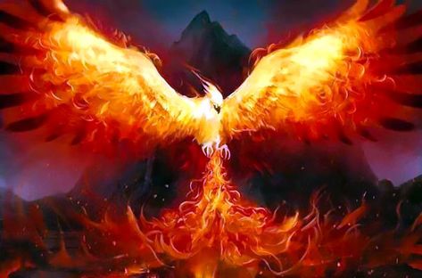 Meaningful drawing of the phoenix, that rising from the ashes. Color: Orange. Tags: Awesome, Meaningful Fire Bird, A Fire, Phoenix, Orange, Yellow