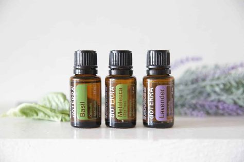 Essential Oils for Earache | Natural Remedies for Kids Essential Oil For Ear Pain, Essential Oils For Earache, Oils For Ear Ache, Essential Oil Anti Aging, Ear Ache, Doterra Essential Oils Recipes, Healthy Choice, Doterra Oils, Best Essential Oils