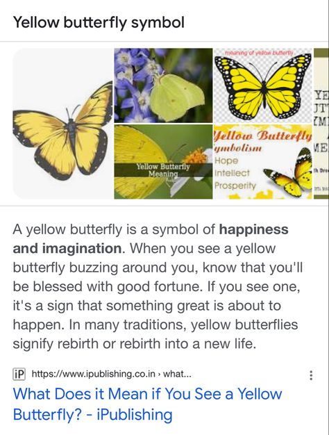 Yellow Butterfly Spiritual Meaning, Yellow And Black Butterfly Meaning, Yellow Monarch Butterfly Tattoo, Butterfly Types And Meanings, Monarch Butterfly Meaning, Hummingbird Spiritual Meaning, Yellow Butterfly Meaning, Butterfly Types, Yellow Monarch Butterfly