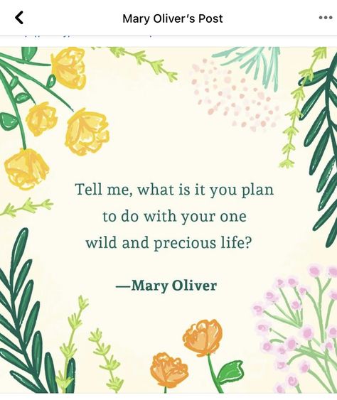 One Wild And Precious Life, Wild And Precious Life, Mary Oliver, Sweet Quotes, Lovely Quote, Done With You, Simple Prints, Wonderful Words, Pretty Words