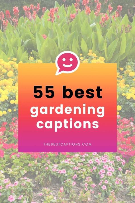 Garden Captions For Instagram, Garden Captions, Flower Puns, Garden Puns, Growing A Garden, Love Captions, Instagram Image, Captions For Instagram, Flower Show