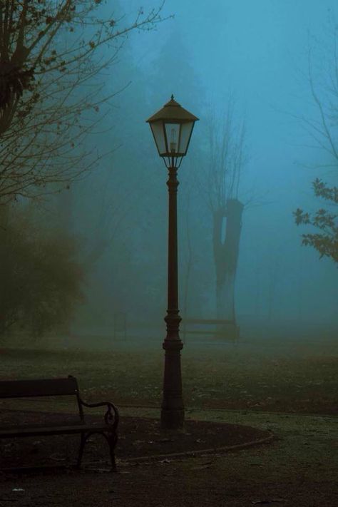 Lamp In Fog, Streetlight Aesthetic, All Too Well Wallpaper, All Too Well, Rainy Night, Street Lamp, Dark Photography, Take Me Home, Street Light