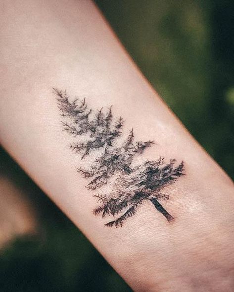 Top 100 Best Popular Tattoos For Women - Admirable Design Ideas Forrest Tattoo Designs Women, Pine Tree Tattoos For Women, Pine Branch Tattoo, Cedar Tree Tattoo, Popular Tattoos For Women, Pine Tree Tattoos, Oliver Tattoo, Small Nature Tattoos, Evergreen Tattoo