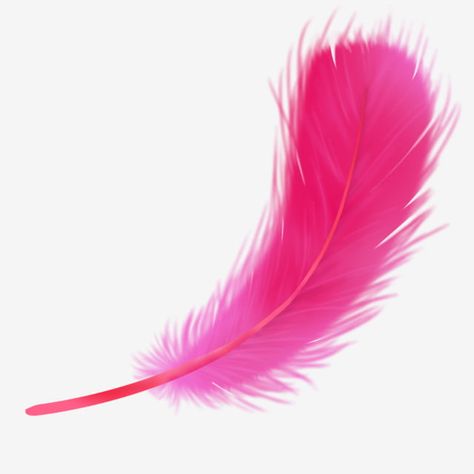 red feather,beautiful,animal feather,beautiful clipart,wings,wings clipart,red clipart,feather Feather Pictures, Feather Png, Feather Clipart, Childrens Bible Activities, Wings Clipart, Red Clipart, Peony Leaves, Feather Illustration, Beautiful Feathers