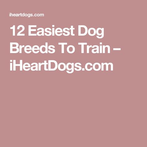 12 Easiest Dog Breeds To Train – iHeartDogs.com Under Bridge, Outside Dogs, Easiest Dogs To Train, Stomach Issues, Animal Behavior, Poodle Dog, Super Mom, Family Dogs, Dog Trainer