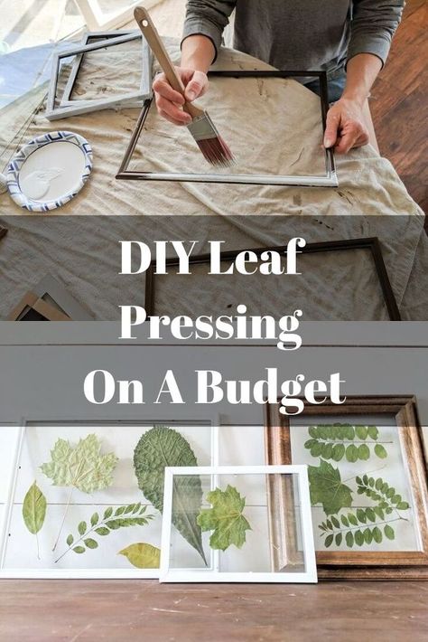 Leaf Pressing, Dollar Store Fall Decor, Seasonal Artwork, Leaf Art Diy, Wall Entryway, Diy Leaves, Pressed Flower Crafts, Pressed Leaves, Art Decor Diy