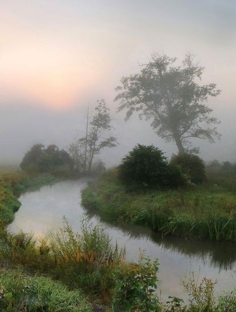 Misty Weather, Street Photography People, Rainy Morning, Pastel Landscape, Misty Forest, Night Scenery, Foggy Morning, Spring Aesthetic, Landscape Photos