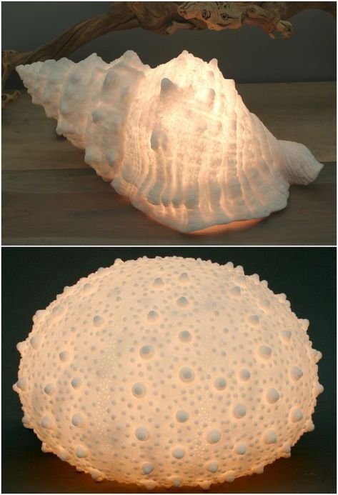 These Pottery Barn shell and urchin lights are made of natural sandstone. Use these lovely sculptural lights as accent lighting anywhere in your home. Featured on Completely Coastal along with other shell lamps! Seashell Interior Design, Seashell Nursery Decor, Shell Diy Crafts, Sea Shell Ideas, Shell Lamp Diy, Beach Shell Crafts, Diy Coral Reef, Seashell Light, Seashells Aesthetic