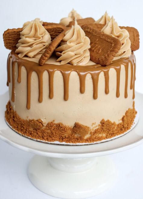 Biscoff Cookie Butter Cake, Cookie Butter Cake, Rotating Cake Stand, Biscoff Recipes, Biscoff Cake, Whiskey Cake, Biscoff Cookie Butter, Mini Torte, Butter Cake Recipe