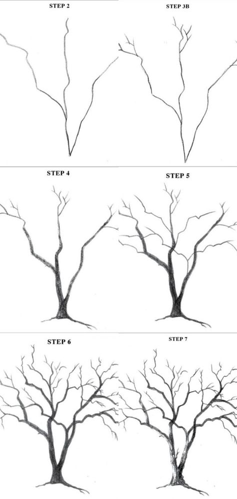 Trees Art Drawing, Trees Drawing Tutorial, Trin For Trin Tegning, Pencil Art Drawings, Tree Drawing, Landscape Drawings, Diy Canvas Art Painting, Painting Art Projects, Art Drawings Sketches Simple