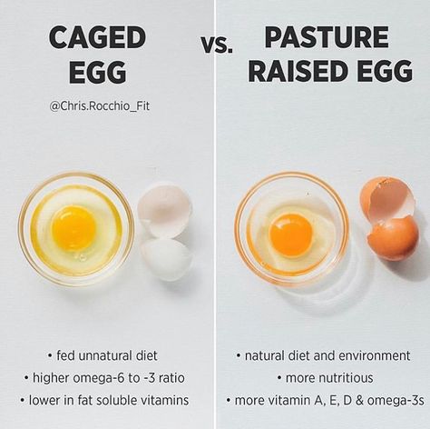 Pastured eggs contain higher levels of omega-3, less omega-6, & more vitamins and minerals. - What type of eggs do you eat? - Pic by… What To Do With Eggs, Dr James Dinicolantonio, Benefits Of Eggs, Eggs Storage, Follicular Phase, Health Benefits Of Eggs, Egg Nutrition, Ways To Cook Eggs, Egg Benefits