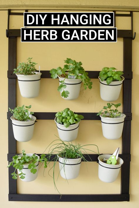 Window Herb Garden Indoor, Hanging Herb Garden Indoor, Diy Hanging Herb Garden, Uni Room Ideas Uk, Uni Room Ideas, New Bedroom Ideas, Hanging Herb Gardens, Indoor Herb Garden Diy, Renter Friendly Decorating