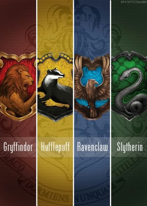 #Gryffindor #hufflepuff #ravenclaw #slytherin #love #hp #harrypotter The Four, Hogwarts, Harry Potter