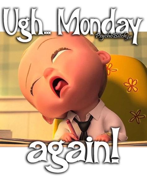 Ugh Monday, Happy Monday Quotes, Monday Morning Quotes, Happy Day Quotes, Funny Day Quotes, Morning Memes, Good Morning Funny Pictures, Monday Again, Good Morning Sweetheart Quotes