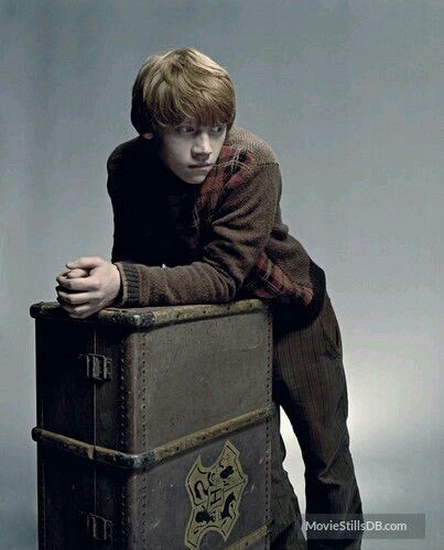 Astrophysics Student, Disney And Harry Potter, Rupert Grint Ron Weasley, Daniel Radcliffe Emma Watson, Ron And Harry, Glume Harry Potter, Half Blood Prince, Ronald Weasley, Photo Recreation