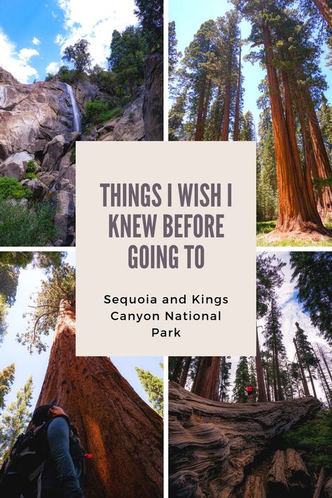 Things I wish I knew before going to Sequoia and Kings Canyon National Park. Read the blog to find out: 1) What is the difference between Sequoia and Kings Canyon National Park? 2) Weather and best time to go 3) Summer shuttle system 4) Where to stay at Sequoia or Kings Canyon National Park Sequoia Camping, Yosemite Sequoia, Pacific Coast Road Trip, Yosemite Trip, Kings Canyon National Park, National Park Vacation, National Park Road Trip, Us Road Trip, Kings Canyon