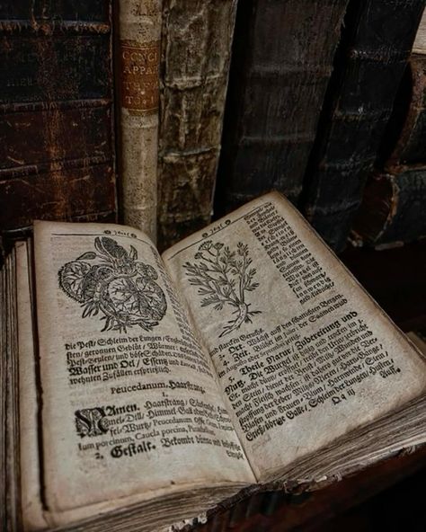 Alchemy Book Aesthetic, Antique Book Aesthetic, Dark Herbalist Aesthetic, Dark Alchemy Aesthetic, Science Book Aesthetic, Antique Books Aesthetic, From The Library Of, Magic Books Aesthetic, Medieval Doctor Aesthetic