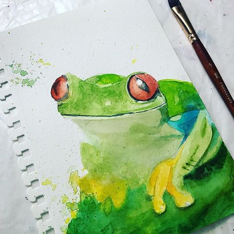 Happy Wednesday!  #practicepracticepractice #watercolor #coloredpencil #rainforest #frog #painting Rainforest Frog, Frog Painting, Art Mignon, Art Carte, Frog Art, 수채화 그림, Watercolor Art Lessons, A Frog, Arte Sketchbook