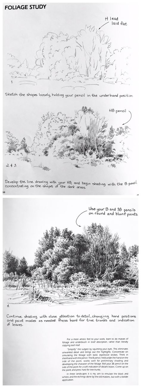 Tips For Drawing Landscapes, Landscape Tutorial Drawing, Foliage Sketch Pencil, How To Draw Bushes Pencil, Drawing Landscapes Tutorial, Pencil Sketch Background, Landscape Study References, How To Draw Foliage, Bush Drawing Pencil