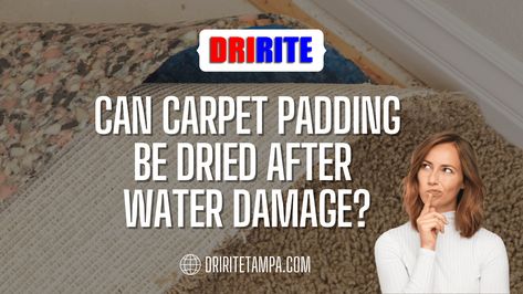 Can Carpet Padding Be Dried After Water Damage? Carpet Padding, Water Damage, Carpet, Canning, Water