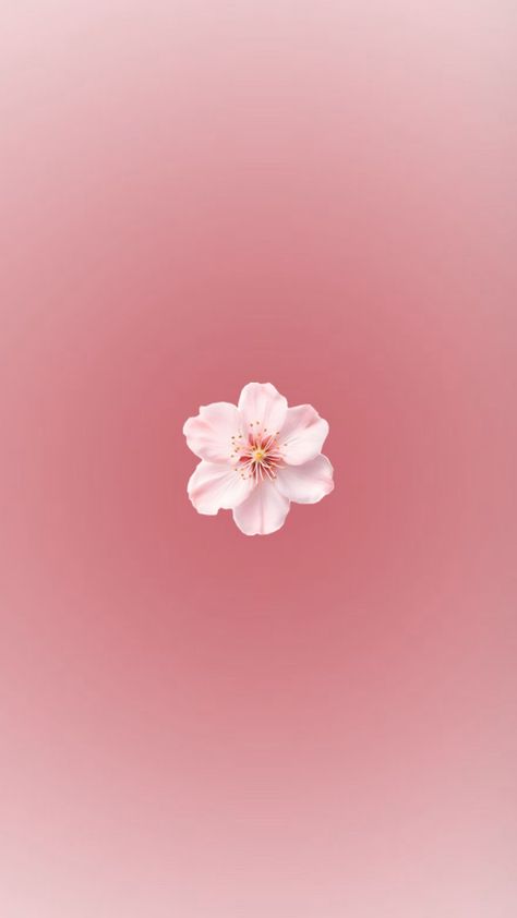 Fond d’écran àesthétique  de fleur rose pale Photo Rose Pastel, Rose Aesthetic Couleur, Rose Couleur Aesthetic, Photo Rose Aesthetic, Photo Aesthetic Rose, Image Aesthetic Rose, Fatima Wallpaper, Soft Pink Wallpaper, Pale Pink Wallpaper