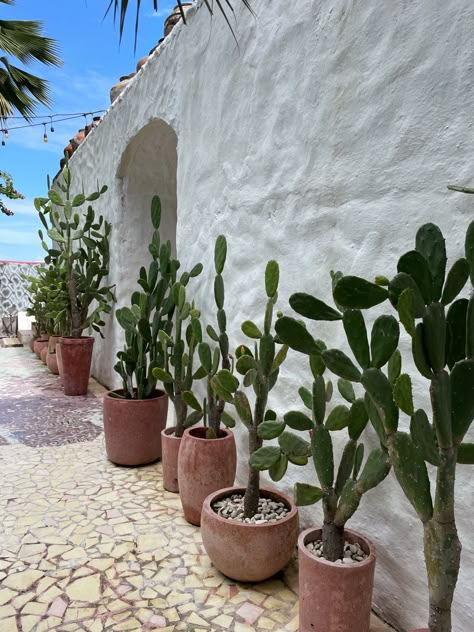 Mexican Backyard, Terracotta Turquoise, Palm Springs Garden, Easy Backyard Diy, Cactus House Plants, Uluwatu Bali, Rustic Patio, Lingerie Photography, Mexican Home Decor