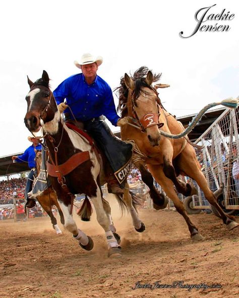 Joe Blankenship and Sica picking upthe Miles City Bucking Horse Sale. 2013 Photo… Nice Horses, Bronc Halter, Bronc Rider, Saddle Bronc, Bronc Riding, Bucking Horse, Rodeo Time, Rodeo Events, Rodeo Cowboys