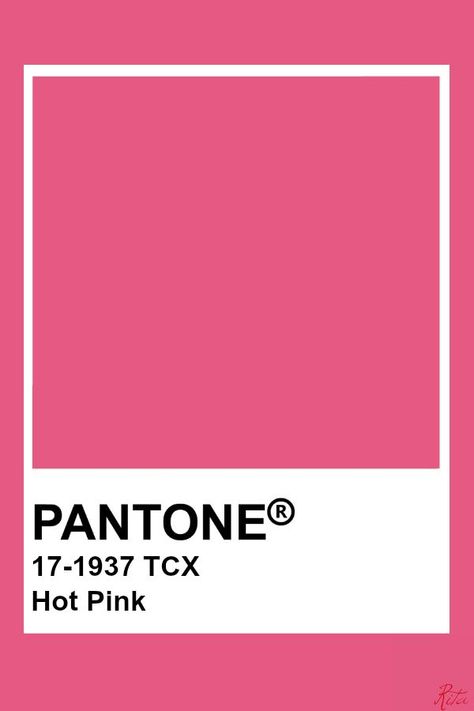 Hot Pink Bedroom Walls, Hot Pink Bedrooms, Pink Bedroom Walls, Pantone Color Chart, Pantone Colour Palettes, Pink Bedroom, Color Analysis, Color Samples, Pantone Color