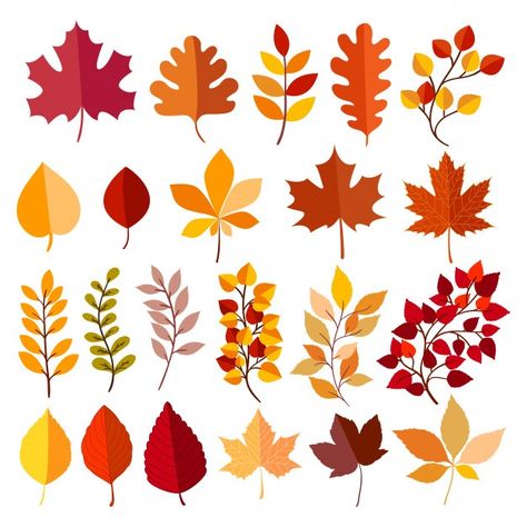 Autumn elements collection | Premium Vector #Freepik #vector #tree #leaf #cloud #thanksgiving Valentine Wallpapers, Autumn Elements, Illustration Elements, Leaf Illustration, Autumn Illustration, Autumn Flowers, Art Journal Therapy, Leaf Drawing, Simple Doodles