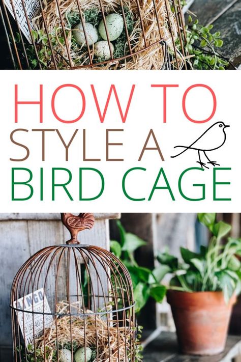 Bird Cages Decorated Ideas, Diy Bird Nest, Vintage Bird Cage Decor, Rustic Americana Decor, Bird Cage Ideas, Birdcage Planter, Diy Bird Cage, Antique Bird Cages, Bird Cage Centerpiece