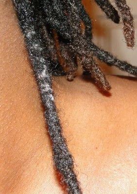 THINNING LOCS AT THE ROOT,MIDDLE AND THE END Dreadlock Styles, How To Start Dreadlocks, Loc Repair, Dreads Care, Dreadlocks Styles, Nappy Hair, Short Locs Hairstyles, Marley Hair, Two Strand Twist