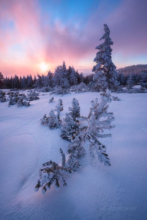 *🇧🇬 April sunrise (Vitosha mountain, Bulgaria) by Emil Rashkovski ❄️🌅 Sunrise In The Mountains, In The Mountains, The Mountain, Bulgaria, Sofia, Natural Landmarks, Photographer, Water, Travel