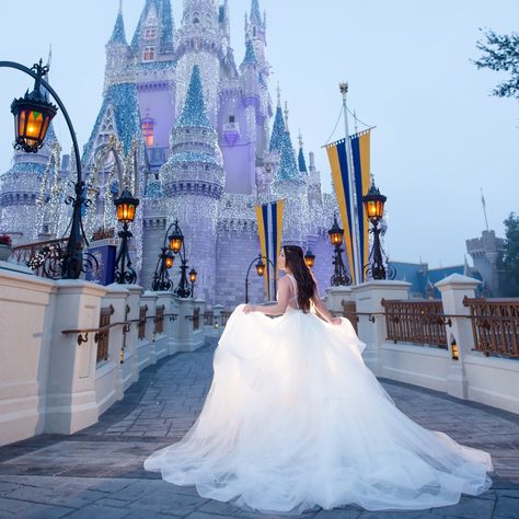 Disney Fine Art Photography, Wedding Dreses, Fairytale Photoshoot, Dream Fairy, Wedding Fairy, Disney Engagement, Disney World Wedding, Disney Bride, Disney Wedding Theme