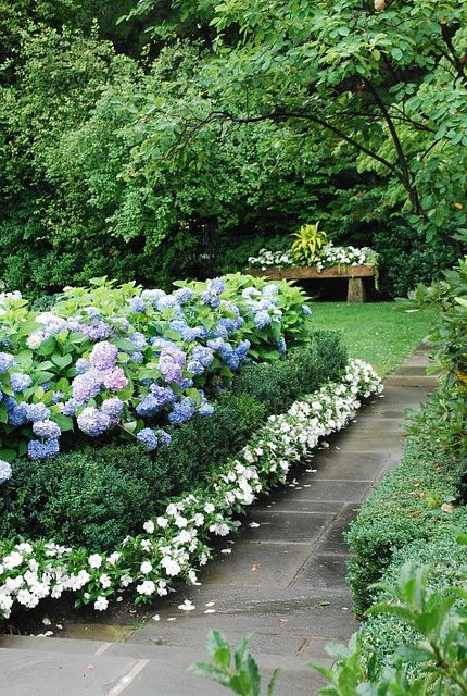 layered hydrangeas by The Estate of Things, via Flickr Landscaping Entrance, Flower Landscaping, Hydrangea Landscaping, Garden Paradise, Beautiful Home Gardens, Shade Gardens, Hydrangea Garden, Real Estat, Garden Shrubs