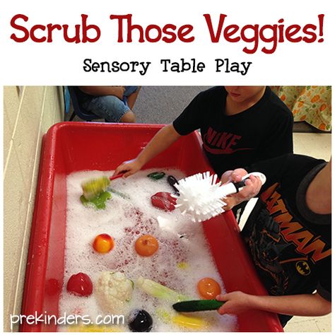 Scrubbing Veggies in the Sensory Table--- except do without soap and with real fruits and veggies. Can make predictions about float vs sink too. Vegetables Preschool, Preschool Food, Cooking Theme, Today Is Monday, Nutrition Activities, Farm Preschool, Food Activities, Stone Soup, Sensory Table