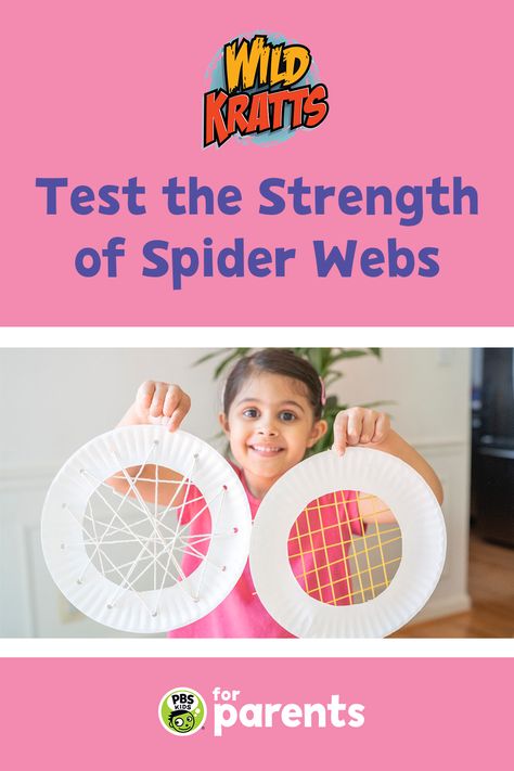 Spiders have the ability to create strong — and beautiful! — webs. Make two different spider webs with your child to explore the strength of materials and learn about spider silk as you play. #PBSKIDS #PBSKIDSforParents Diy Projects Kids, Spider Web Diy, Cool Activities, Spider Web Craft, Stem Activities Kindergarten, Strength Of Materials, Spider Activities, Kids Stem Activities, Crafts At Home