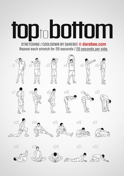 Full Body Stretch Chart Post Workout Stretches, Fitness Studio Training, Exercises For Beginners, Trening Sztuk Walki, Gym Antrenmanları, Stretch Routine, Trening Fitness, Bottom Workout, Easy Yoga Workouts