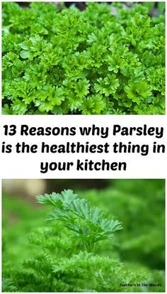 Benefits Of Parsley, Parsley Benefits, Healthiest Food, Calendula Benefits, Rosemary Plant, Matcha Benefits, Lemon Benefits, Stomach Ulcers, Coconut Health Benefits