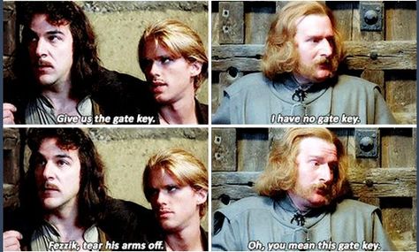 The Princess Bride Quotes, Princess Bride Funny, Princess Bride Quotes, Mandy Patinkin, Bride Quotes, Cary Elwes, The Princess Bride, Dnd Funny, Robin Wright