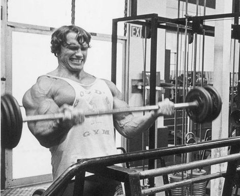 Golden Era Bodybuilding, Arnold Bodybuilding, Arnold Schwarzenegger Bodybuilding, Lose Stomach Fat Fast, Schwarzenegger Bodybuilding, Aesthetics Bodybuilding, Frank Zane, Bodybuilding Nutrition, Muscle Beach