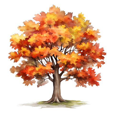 Fall Autumn Tree Watercolor Clipart AI Generated Trees Easy Drawing, Fall Clip Art Free, Fall Clip Art, Fall Drawings, Tree Watercolor, Tree Clipart, Autumn Tree, Tree Illustration, Watercolor Trees