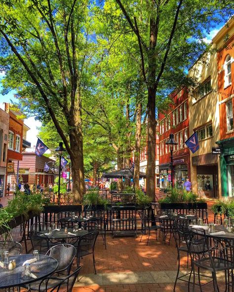 The historic pedestrian Downtown Mall in Charlottesville, Virginia is  eight blocks of restaurants, shops, music venues, and more. West Virginia, Virginia Travel, Virginia Is For Lovers, Charlottesville Virginia, Au Pair, Virginia Usa, Charlottesville Va, University Of Virginia, Richmond Virginia