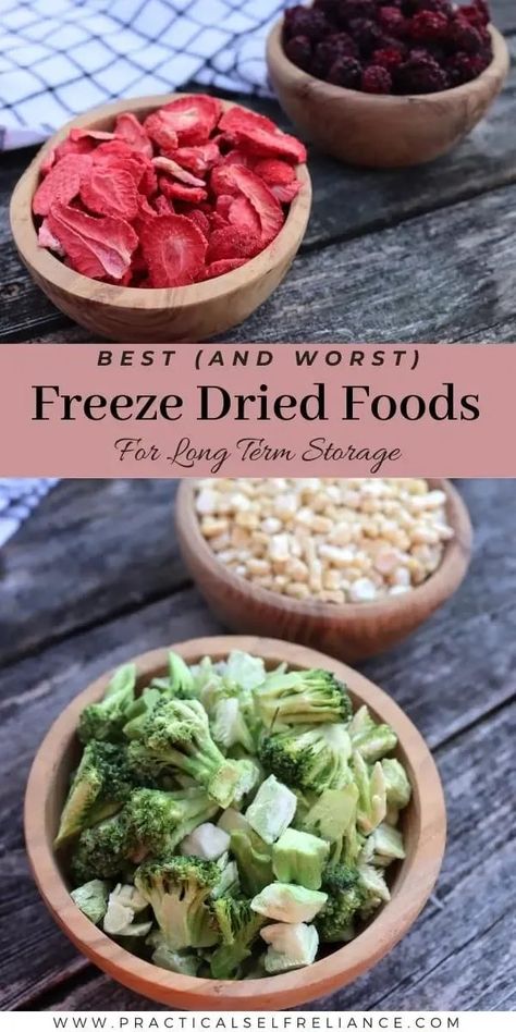 Best Freeze Dried Food (& Worst!) for Long-Term Food Storage: Prepper Pantry Stockpile - Stock your prepper pantry with the best freeze dried food storage! From freeze dried strawberries to freeze dried broccoli, there is so many options when it comes to freeze dried meals for your family. long term food storage ideas | emergency preparedness Freeze Drying Food Ideas, Using Freeze Dried Food, Best Freeze Dryers, Best Meals To Freeze Dry, How To Freeze Dry Fruit, Freeze Drying For Beginners, Harvest Right Freeze Dryer Ideas, Freeze Dryer Accessories, Retired At 40 Freeze Dried