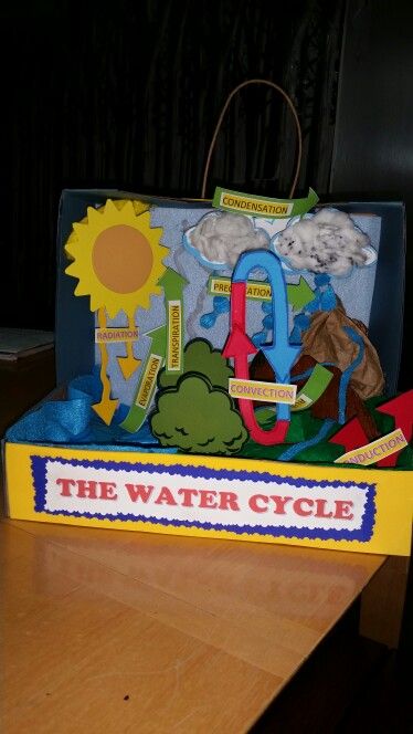 The water cycle 3 D project by Bianca A . Rivas Water Cycle Model, Water Cycle Poster, Water Cycle Project, Hydrological Cycle, Water Cycle Worksheet, Early Years Teaching, Preschool Craft Activities, School Science Projects, Science Models