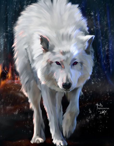 Direwolf Art, Ghost Game Of Thrones, Wolf Art Drawing, Wolf Emblem, Wolf Puppy, Snow Wolf, Winter Wolves, Wolf Artwork, Wolf Painting